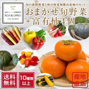 産地直送！ おまかせ旬野菜セット 10種類以上+富有柿4個［送料無料］■期日指定不可・発送翌日受取限定：お届け時間帯にご注意ください■｜koji-de-omiso