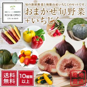 産地直送！ おまかせ旬野菜セット 10種類以上+いちじく［送料無料］■期日指定不可・発送翌日受取限定：お届け時間帯にご注意ください■｜koji-de-omiso