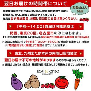 お試しに最適!おまかせ 無農薬 旬野菜セット ...の詳細画像1