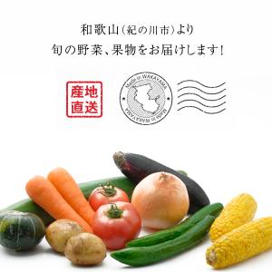 お試しに最適!おまかせ 無農薬 旬野菜セット ...の詳細画像2