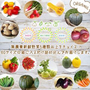 お試しに最適!おまかせ 無農薬 旬野菜セット ...の詳細画像4
