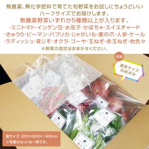 お試しに最適!おまかせ 無農薬 旬野菜セット ...の詳細画像5