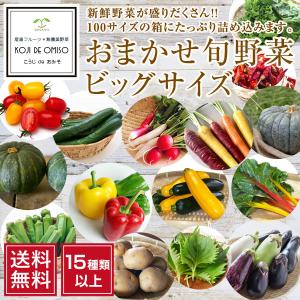 今ならプレゼント実施中！ おまかせ旬野菜セット ビッグサイズ 15種類以上［送料無料］■期日指定不可・発送翌日受取限定：お届け時間帯にご注意ください■｜koji-de-omiso