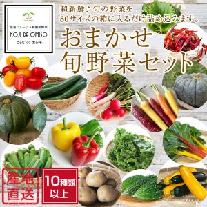 今日のお買い得！数量限定 おまかせ旬野菜セット 10種類以上 ※内容の指定不可 ■期日指定不可・発送翌日受取限定：お届け時間帯にご注意ください■｜koji-de-omiso