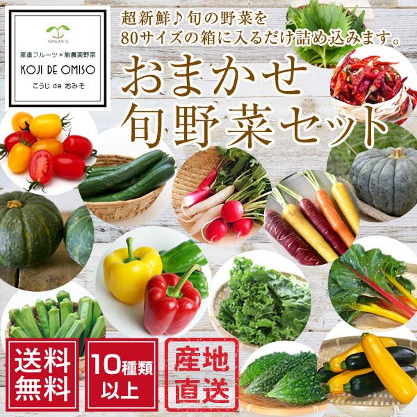 和歌山より産地直送！ おまかせ旬野菜セット 10種類以上［送料無料］※内容の指定不可 ■期日指定不可...