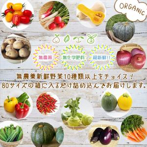 産地直送!おまかせ 無農薬 旬野菜セット 10...の詳細画像4