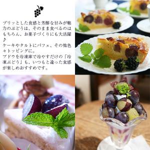 和歌山産 ぶどう ピオーネ 約1kg ■期日指...の詳細画像3