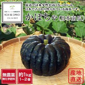 無農薬 和歌山産 日本かぼちゃ  約1kg 1〜2個