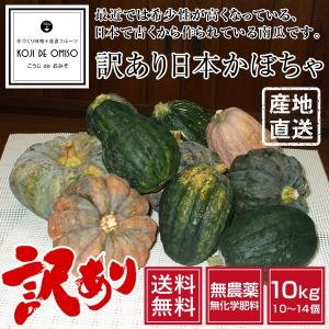 無農薬 和歌山産 訳あり 日本かぼちゃ  10kg ［送料無料］｜koji-de-omiso