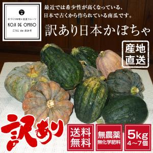 今日のお買い得！無農薬 和歌山産 訳あり 日本かぼちゃ  5kg ［送料無料］｜koji-de-omiso