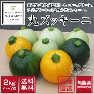 今日のお買い得！和歌山産 無農薬 丸ズッキーニ・3色または2色MIX 約2kg［送料無料］■期日指定不可・発送翌日受取限定：お届け時間帯にご注意ください■｜koji-de-omiso