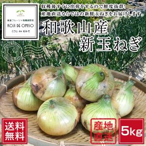 産地直送！和歌山産 新玉ねぎ 5kg［送料無料］■期日指定不可・発送翌日受取限定：お届け時間帯にご注意ください■｜koji-de-omiso