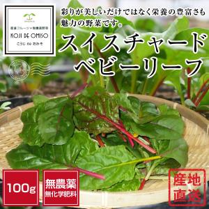 無農薬 和歌山産 スイスチャード（ベビーリーフ） 100g  ■期日指定不可・発送翌日受取限定：翌日お届け時間帯にご注意ください■｜koji-de-omiso