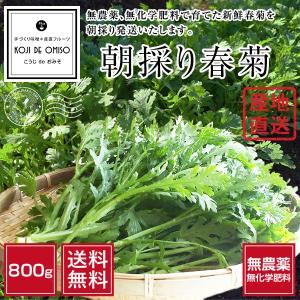 無農薬 和歌山産 朝採り春菊 800g［］ ■期日指定不可・翌日受取限定：時間指定にご注意ください■