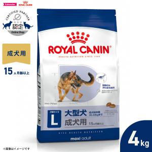 KONG（コング） 犬のおもちゃ デンタルコング Mサイズ 中型犬用