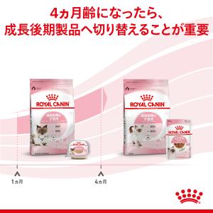 ロイヤルカナン 猫 キャットフード マザー&ベ...の詳細画像4