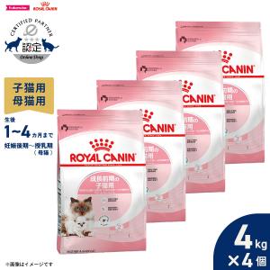 アニモンダ カーニー ドライ 避妊去勢猫用 鶏・七面鳥 1.75kg (83550