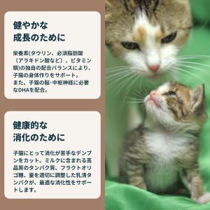 ロイヤルカナン 猫 キャットフード ベビーキャ...の詳細画像2