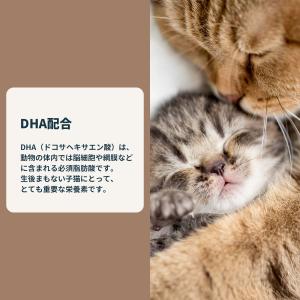 ロイヤルカナン 猫 キャットフード ベビーキャ...の詳細画像3