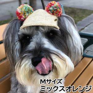 倍々+5倍！最大ポイント26倍！本日限定！犬の帽子 ガーデンオブエデン