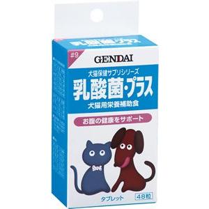 乳酸菌 プラス 48粒（100mg）