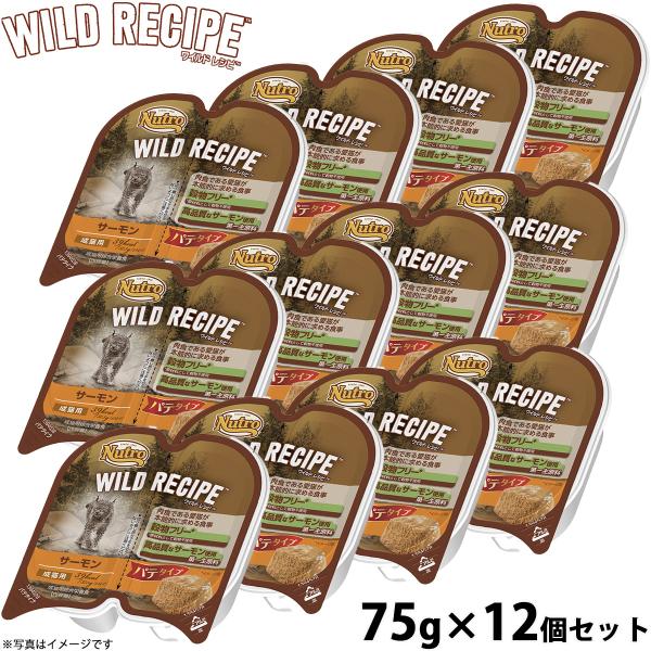 ニュートロ ワイルドレシピ 成猫用 サーモン パテタイプ 75g×12個