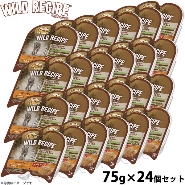 ニュートロ ワイルドレシピ 成猫用 サーモン パテタイプ 75g×24個