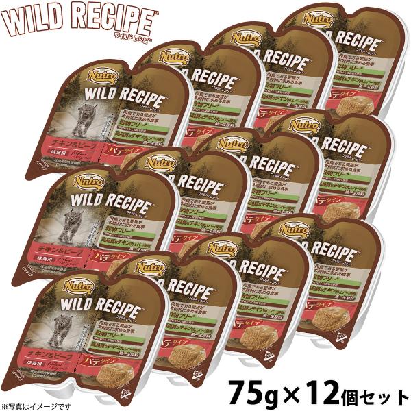ニュートロ ワイルドレシピ 成猫用 チキン＆ビーフ パテタイプ 75g×12個