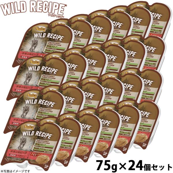ニュートロ ワイルドレシピ 成猫用 チキン＆ビーフ パテタイプ 75g×24個