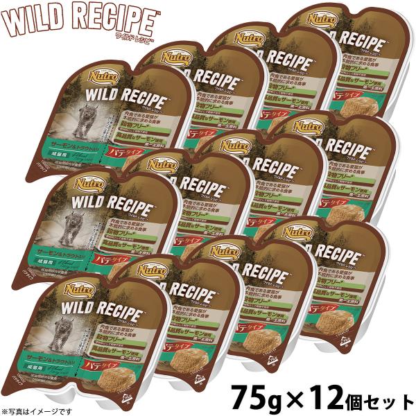 ニュートロ ワイルドレシピ 成猫用 サーモン＆トラウト入り パテタイプ 75g×12個