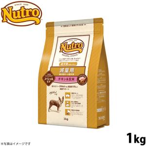 ナチュラルチョイス ニュートロ プレミアムチキン 子犬用 大型犬用