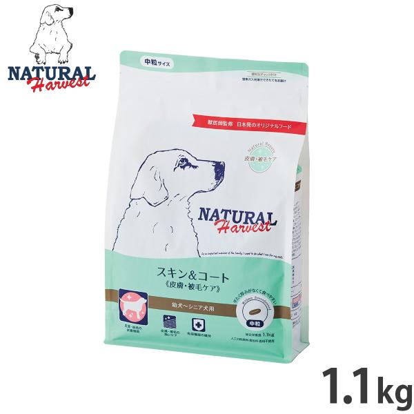 ナチュラルハーベスト ドッグフード スキン＆コート 皮膚 被毛ケア 1.1kg 無添加 犬用 日本専...