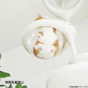 (プレゼント付き)OPPO オッポ キャットフ...の詳細画像4