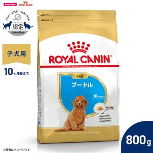森乳サンワールド 【限定クーポン】 スーパーゴールド おなかラボ 成犬