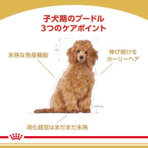 ロイヤルカナン 犬 ドッグフード プードル専用...の詳細画像1