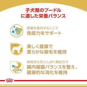 ロイヤルカナン 犬 ドッグフード プードル専用...の詳細画像2