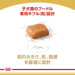 ロイヤルカナン 犬 ドッグフード プードル専用...の詳細画像3