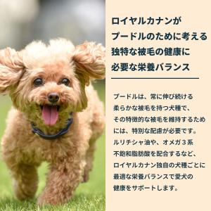 ロイヤルカナン 犬 ドッグフード プードル専用...の詳細画像4