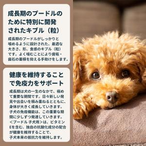 ロイヤルカナン 犬 ドッグフード プードル専用...の詳細画像5