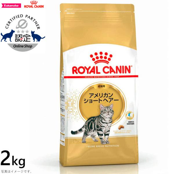 ロイヤルカナン 猫 キャットフード アメリカンショートヘアー 成猫用 2kg