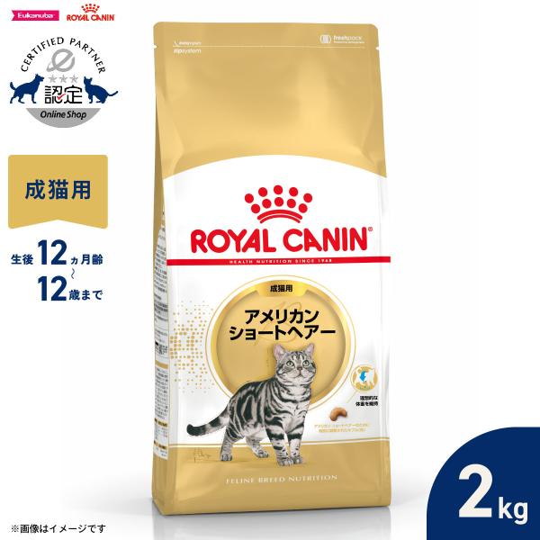 ロイヤルカナン 猫 キャットフード アメリカンショートヘアー専用フード 成猫用 2kg
