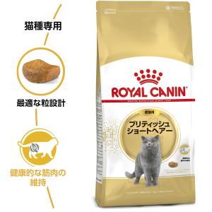ロイヤルカナン 猫 キャットフード ブリティッ...の詳細画像1