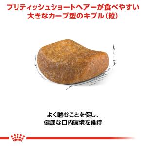 ロイヤルカナン 猫 キャットフード ブリティッ...の詳細画像4