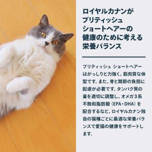 ロイヤルカナン 猫 キャットフード ブリティッ...の詳細画像5