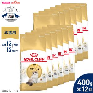 VetSolution 猫用 胃腸サポート 2kg Monge 療法食 消化器 疾患 Vet