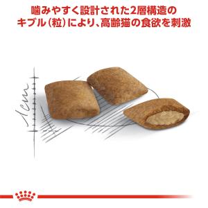 ロイヤルカナン 猫 キャットフード エイジング...の詳細画像3