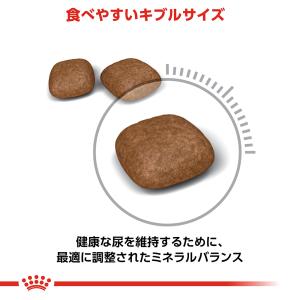 ロイヤルカナン 猫 キャットフード ユリナリー...の詳細画像3
