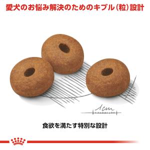 ロイヤルカナン 犬 ドッグフード マキシ ライ...の詳細画像3