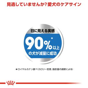 ロイヤルカナン 犬 ドッグフード マキシ ライ...の詳細画像4
