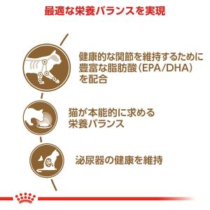 ロイヤルカナン 猫 キャットフード ウェットフ...の詳細画像2